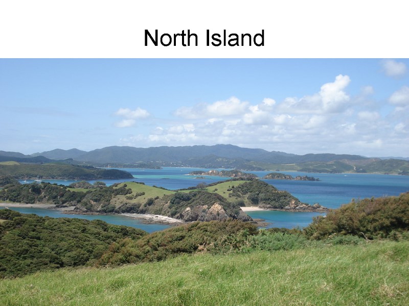 North Island